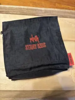 ☆ straykids MIROH メッシュポーチ ☆