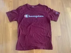 champion   Tシャツ　Lサイズ