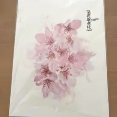 滝沢歌舞伎ZERO FINAL パンフレット　未使用品