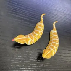 2025年最新】ツチノコ チョコエッグの人気アイテム - メルカリ