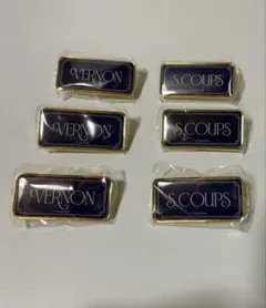 SEVENTEEN MUSEUM 2024 ピンバッジ エスクプス 3個セット