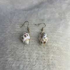 貝殻デザイン フックピアス
