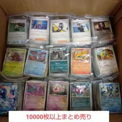 2025年最新】ポケモンカード ノーマル まとめ売り10000枚の人気