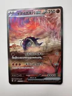 ポケモンカードSARイダイナキバ