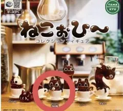 ねこぉひ〜