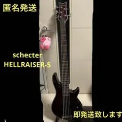 即発送 SCHECTER HELLRAISER-5 5弦ベース 調整済み SCHECTER (シェクター) エレキベース HELLRAISER-5 動作確認済み
