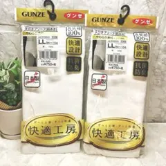 GUNZE 下着 ブリーフ 前あき 白 快適工房 綿100% 肌着 LL 2枚組