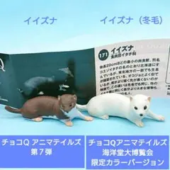 希少 海洋堂 ChocoQ 海洋堂大博覧会限定カラーバージョン＆第7弾 イイズナ