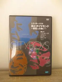 シティボーイズ 灰とダイヤモンド dvd