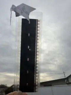 Item thumbnail for item 2513c335-ec8b-45a1-adff-df0f3db5ab8e