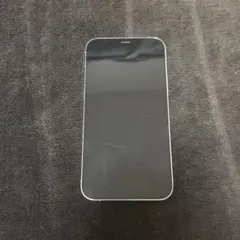 iPhone12 Pro 128GB