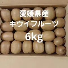 愛媛県産　キウイフルーツ　6kg　ヘイワード