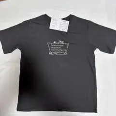 わちふぃーるど　ダヤン　Bebe Dayan 半袖Tシャツ チャコール Mサイズ