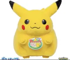 新品　ポケモン30周年記念おかえり!ピカチュウ1/1
