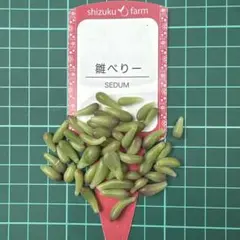 _誠1 S_様 リクエスト 2点 まとめ商品