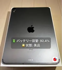 iPad Pro (11インチ) (第1世代)256GB セルラーモデル