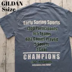 アメリカ古着　ギルダン　Tシャツ 良色　アメカジ　良プリント　USA古着のサムネイル