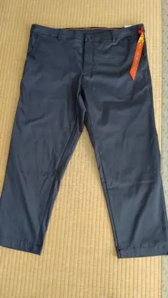 Item thumbnail for item c2e1f852-33d0-4b72-aff9-a46b1abb7ded