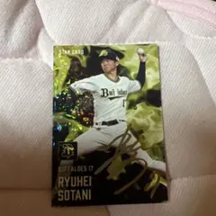 ☆期間限定値下げ中☆曽谷龍平 バナーフラッグ 直筆サイン入り ☆期間限定値下げ中☆曽谷龍平 バナーフラッグ 直筆サイン入り