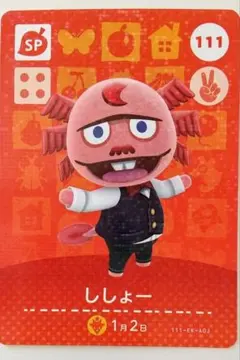 どうぶつの森 amiibo カード まとめ売り 111 ししょー あつ森 セット