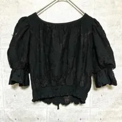 ワンウェイ　半袖カットソー　総レース　クロップド丈　パフスリーブ