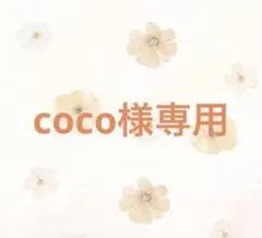 2026年最新】南方研究所の人気アイテム - メルカリ