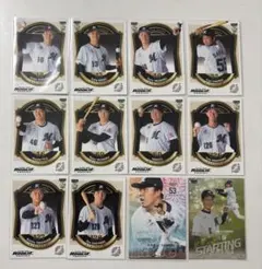 BBM ルーキーエディション2026 千葉ロッテマリーンズ 12枚セット