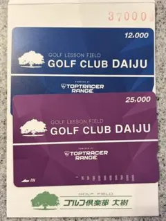 ゴルフクラブ大樹 1000円×20枚 楽天市場】【ふるさと納税】ゼクシオ エックス フェアウェイ