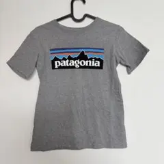patagonia グレー Tシャツ S