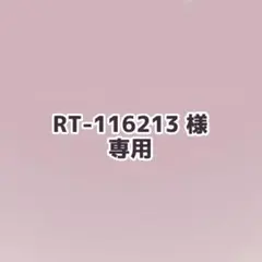 RT-116213様専用ページ