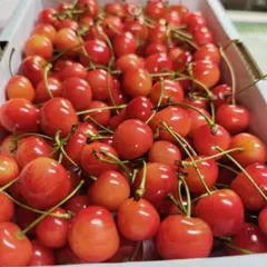 ３０日ーP　　加工用　紅秀峰　１ｋｇ　過熟気味のサムネイル