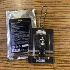 SEVENTEEN セブチ HOME アクリルキーリング ホシ