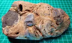 L410」新疆隕石 隕石 非常に珍しい 重約5kg - メルカリ