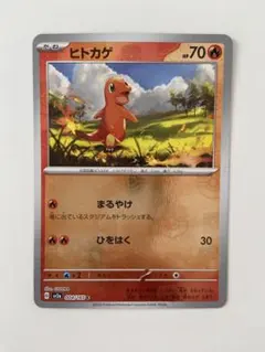 2026年最新】ヒトカゲ マスターボールの人気アイテム - メルカリ