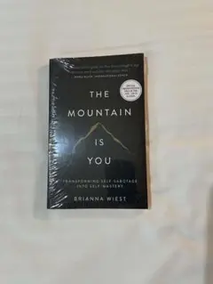 The Mountain Is You Brianna Wiest 洋書