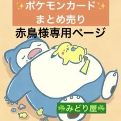 赤鳥様 リクエスト 9点 まとめ商品