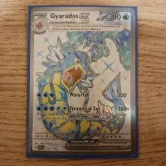 2025年最新】ポケモン ギャラドス 英語版の人気アイテム - メルカリ