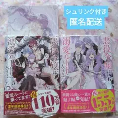 『悪役令嬢は溺愛ルートに入りました!?(コミック)』5巻,6巻セット