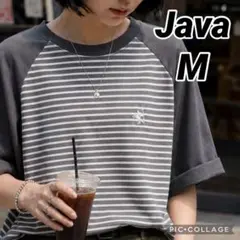 新品《JaVaジャバコラボ》綿100％　胸刺繍　ラグラン　ボーダー　Tシャツのサムネイル