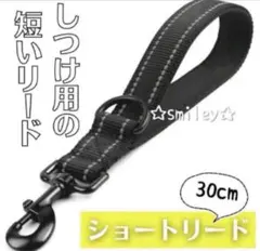 Item thumbnail for item c8e22b84-6453-46f9-94fa-2c77c73576dc