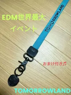 【非売品】世界最大EDMフェス★Tomorrowland公式オルゴール 非売品】世界最大EDMフェス☆Tomorrowland公式オルゴール