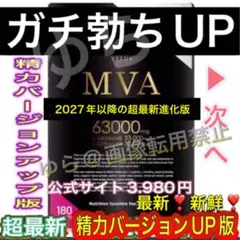 爆勃ちUP精力増強剤❤️最高配合アルギニンシトルリン高麗人参スッポン精力増大サプリ