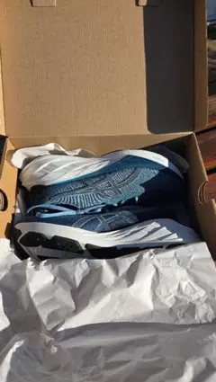 ASICS NOVABLAST 4 ランニングシューズ 25.5cm