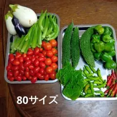 朝採れ新鮮野菜詰め合わせセットのサムネイル