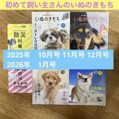 Item thumbnail for item 84b1affc-0da9-4c9f-85e3-1d4b40c1723a