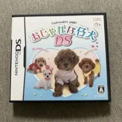 おしゃれな仔犬DS E