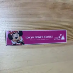 東京ディズニーリゾート　舞浜駅　階段　ミニーマウス　マグネット