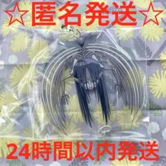 マン「プロフィール見てください」様 リクエスト 2点 まとめ商品