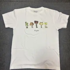 YOSHIDA GROOVE Tシャツ ホワイト M