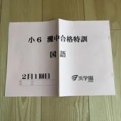 浜学園　小6　灘中合格特訓　国語 2026年最新】灘中合格特訓の人気アイテム - メルカリ